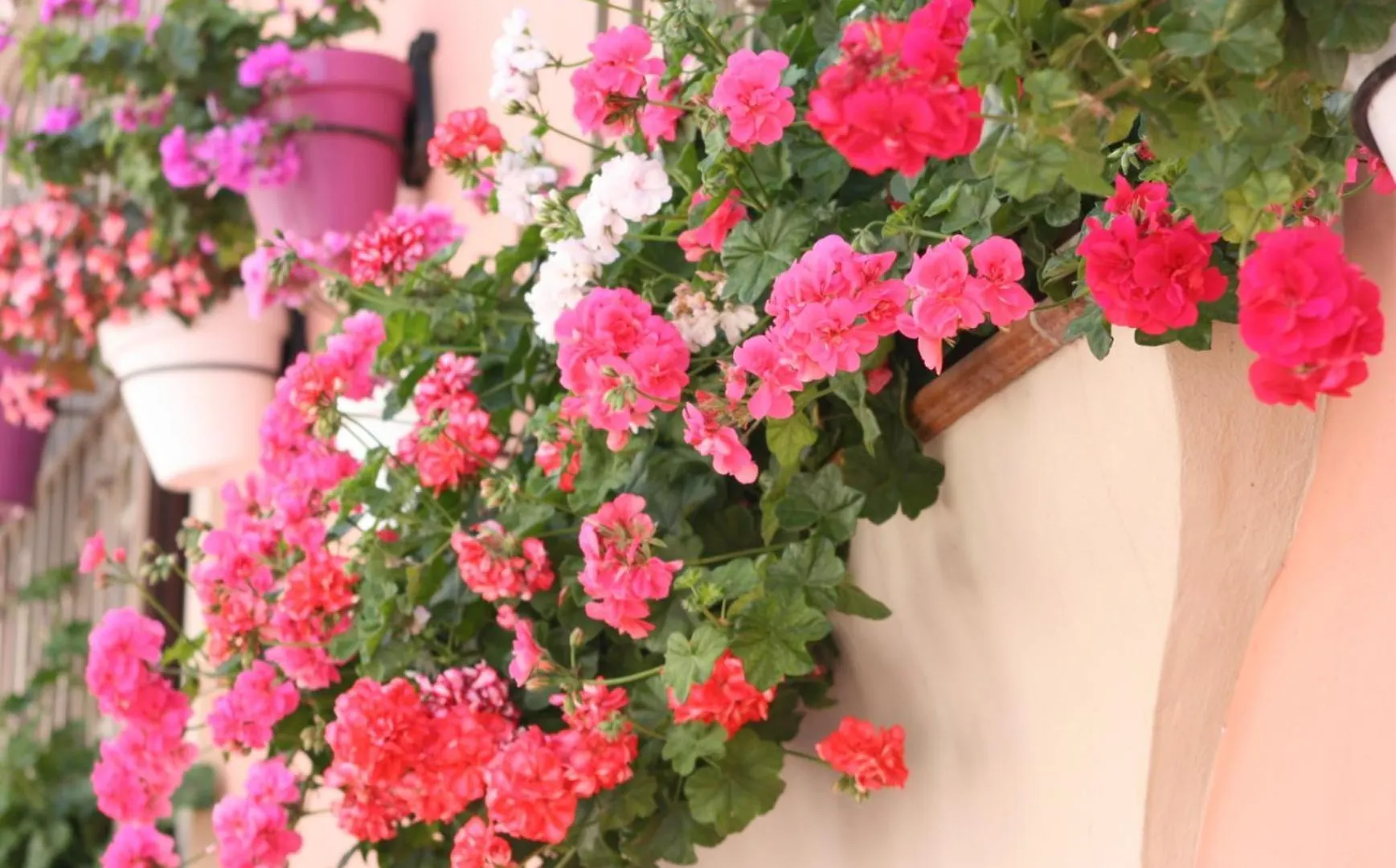Hotel El Pilar Andalucia Εστεπόνα